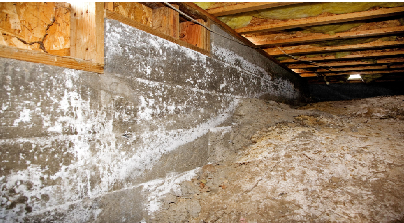 Crawl Space Clean Up Crew