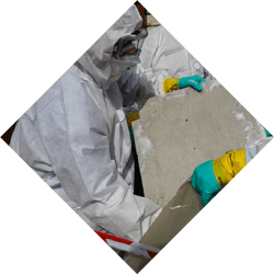 Mold Remediation