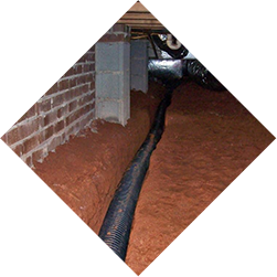 Moisture Control and Drainage