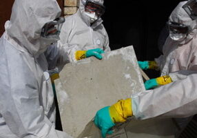 mold-remediation