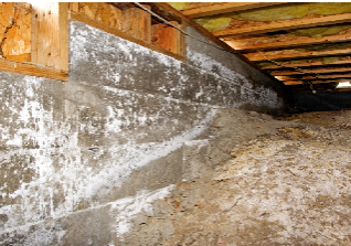 Crawl Space Clean Up Crew